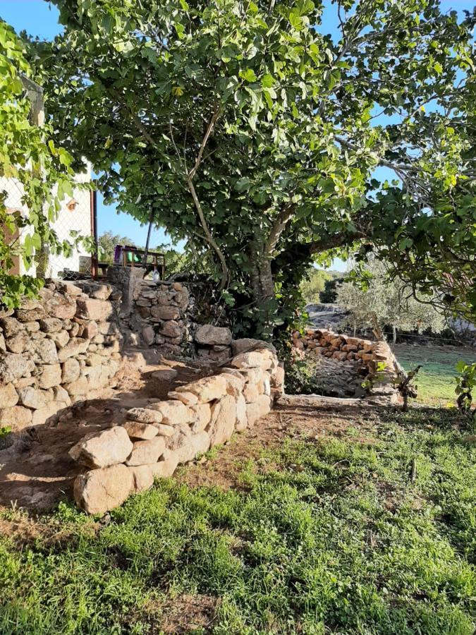Magic Nature Lodge Marvão Exterior foto